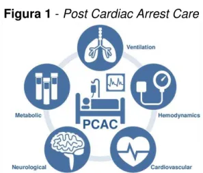 Figura 1 - Post Cardiac Arrest Care 