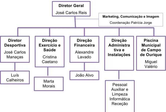 Figura 3 :  Esquema representativo da Direção Executiva do GCP