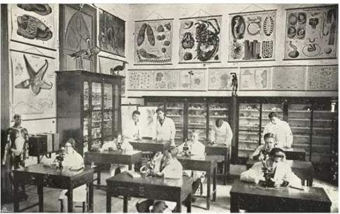 Fig. 14 – Gabinete de Ciências Naturais (1926/27),  Escola José Estêvão (Aveiro) 