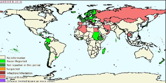 Figura  2  –  Distribuição  mundial  de  Brucella  melitensis  no  período  de  Junho-Dezembro  de  2009