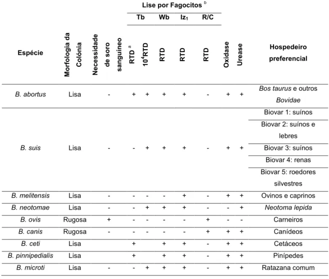 Tabela 3 - Características diferenciais das espécies do género Brucella spp. Adaptado de: (OIE  Manual of Diagnostic Tests and Vaccines for Terrestrial Animals, 2009)