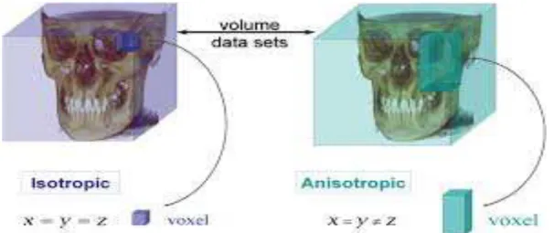 Figura  4-  C omparação  do  volume  de  dados  adquirido  isotropicamente  por  CBCT  e  anisotropicamente por  TC convencional