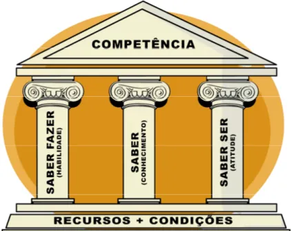 Figura 2.5 – Competência profissional: suas condições de contorno 