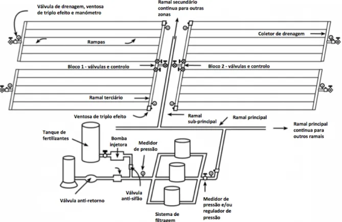 Figura 4. Esquema simplificado de um sistema de rega gota-a-gota subterrânea. 