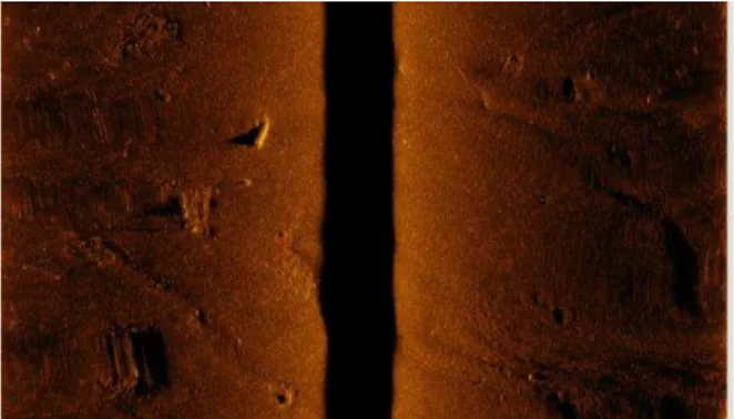 Figura 18 - Imagem tratada do fundo a partir do side-scan sonar.