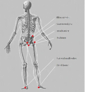 Fig. 2 - Usual body locations where pressure ulcers occurs – adapted from [6]. 