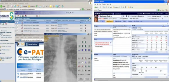 Fig. 4 - Examples of HP-HCIS EHR system and Siemens (Soarian) EHR system. 