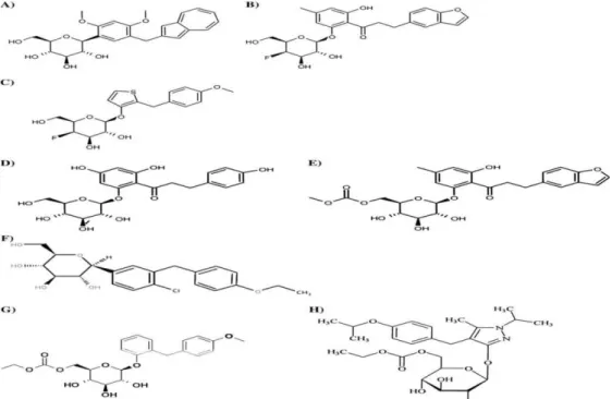 Figura 8. Estruturas químicas de A) Composto 29, B) Composto 45, C) Composto 46,  D)  Florozina,  E)  T-1095,  F)  Dapagliflozina,  G)  Sergliflozina,  H)  Remogliflozina  (adaptado de Idris e Donnely, 2009)