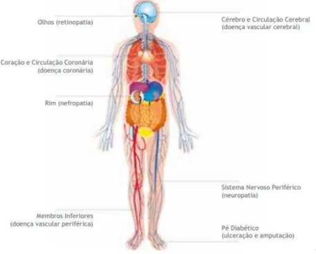 Figura 2: Complicações vasculares da diabetes. Adaptado de OND (2013). 