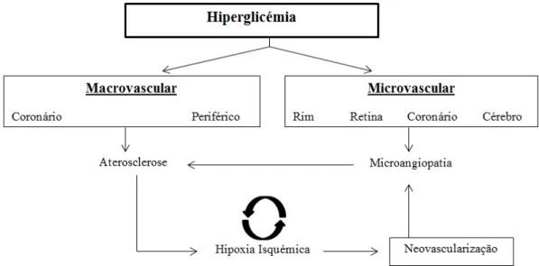 Figura 4: A relação entre complicações microvasculares e aterosclerose,  Adaptado de Orasanu (2009)