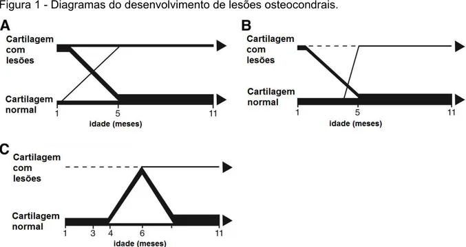 Figura 1 - Diagramas do desenvolvimento de lesões osteocondrais. 