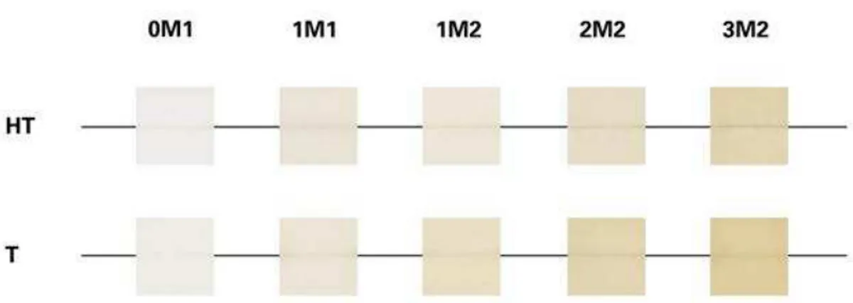 Figura 7 - Escala de cores com as 2 transluscências e as 5 tonalidades disponíveis para os blocos VITA  ENAMIC™