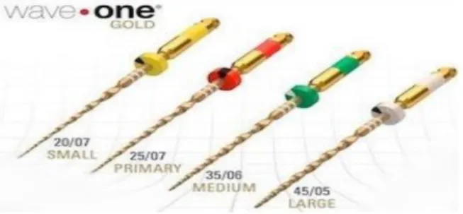 Figura 8 - Limas do sistema Wave One Gold. (Adaptado de Campos et al., 2019) 