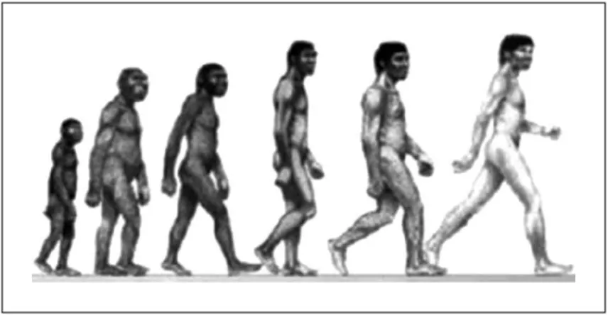 FIGURA 2. A marcha da evolução (http://www.bible.ca/tracks/ape-man-line-up.jpg).