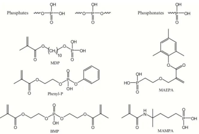 Figura 4. Monómeros acídicos baseados em fosfatos ou fosfonatos (Retirado de Ferracane et al., 2011)