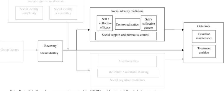 Fig. 1 depicts the SIMCM model in full. In brief, it is argued that social identities associated with cessation can include thinking of oneself as an ex-smoker, former gambler or member of self-help groups (i.e