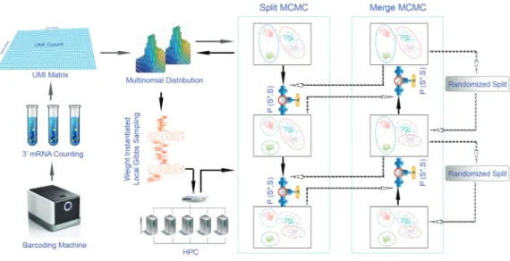 Fig. 1. Workflow of para-DPMM model
