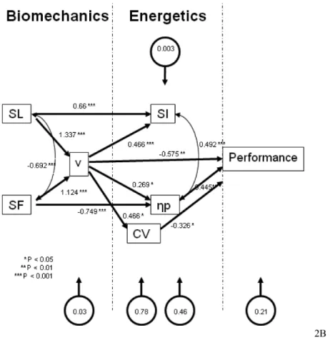 Figure 2 — (continued) and deleting nonsignificant paths with subsequent recomputation  of  remain  data  (2B)
