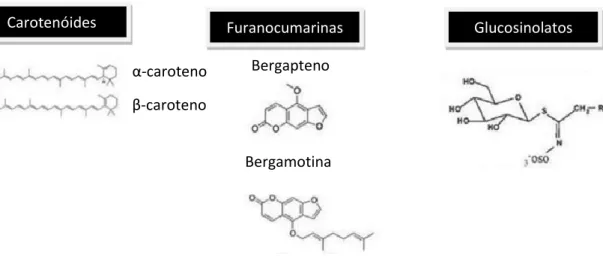 Figura 2. Estruturas químicas dos fitoquímicos presentes nas frutas e vegetais (traduzido  Fragoso e Esparza) 4 