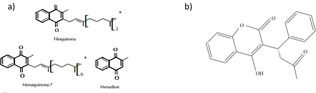 Figura 3.  a) Estruturas  das  formas biologicamente ativas  da vitamina K 18 ; b) Estrutura  química da varfarina (retirado de Hung e Kuo) 19 