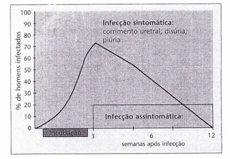 Fig. 3 – Evolução da infeção (uretrite) não tratada 49 