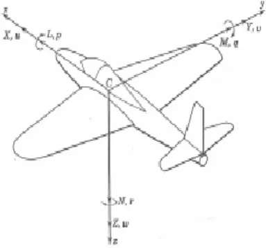 Figure 2 - Standard notation  for aerodynamic forces and  moments, and linear and 