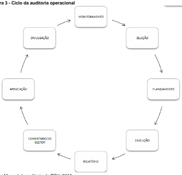 Figura 3 - Ciclo da auditoria operacional 