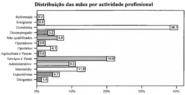 Figura 13. Distribuição das mães por actividade profissional. 