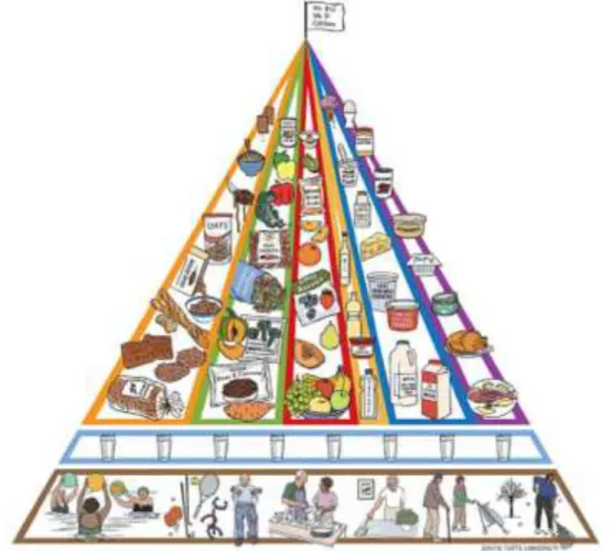 Figura 2: Pirâmide alimentar para idosos. 