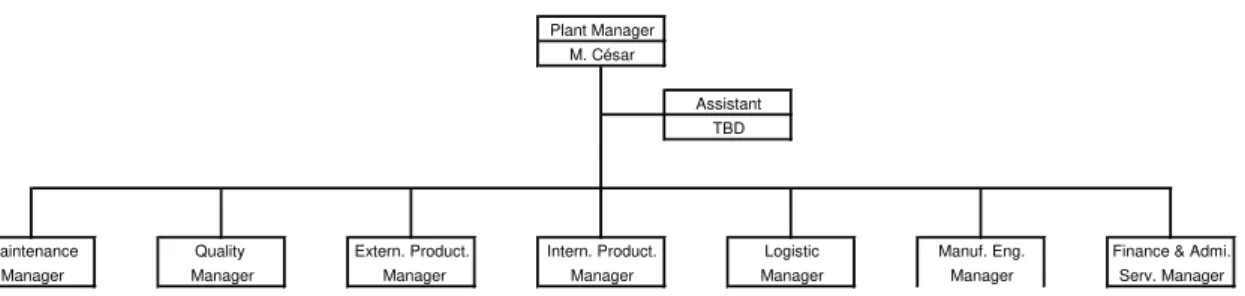 Figura n.º 2 - Organograma da Empresa                                                                   Fonte: SpPM (2011) 