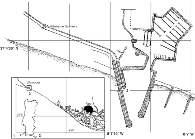 Fig. 1. Location of the sampling sites. 1—CMS, 2—ECS.