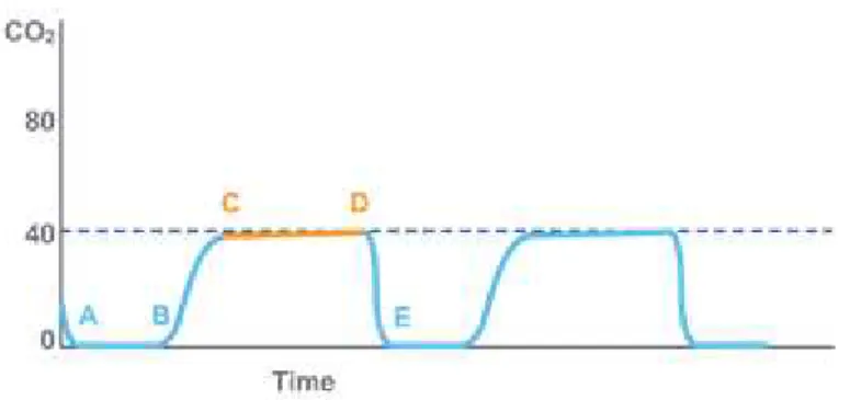 Figura 12 - Fase III ou fase CD da onda da Capnografia 