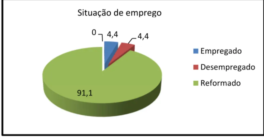 Gráfico 4 8 Distribuição da amostra por situação do emprego 