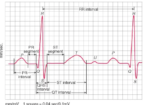 Figura 2.2- Desenho de um ECG normal 