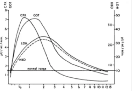 Figura 3.2- Cinética de CK (CPK), LDH e AST (GOT) nos dias após início  dos sintomas. Adaptado de Nissen et al., 1965