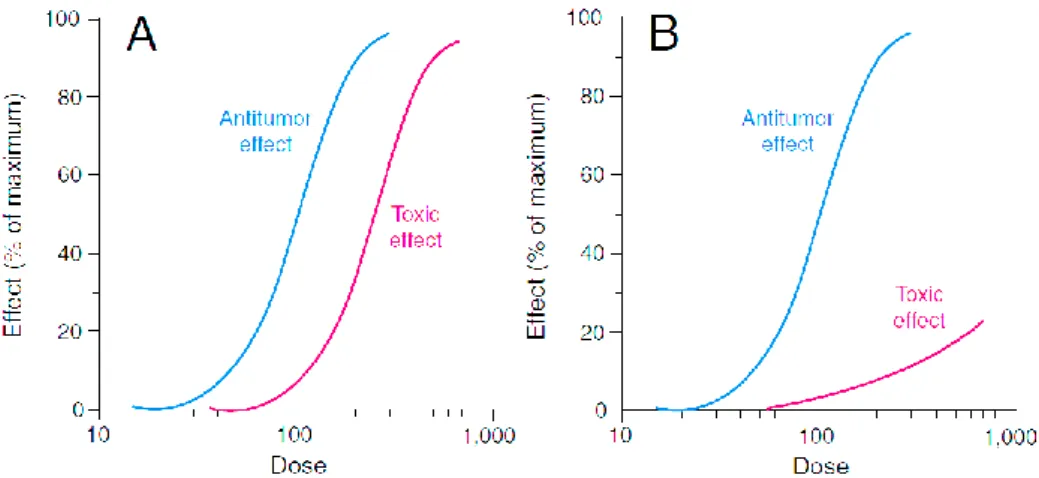 Figure  8 – Relation between drug anti-tumoral effect and toxic effect. A) Hypothetical dose-response  curves  for  conventional  chemotherapeutic  drugs