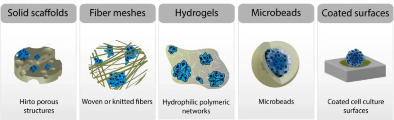 Figure  4.  HA-based  structures  for  tumor  spheroids  assembly:  solid  scaffolds,  fiber  meshes,  hydrogels,  microbeads and HA coated traditional cell culture surfaces.
