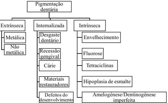 Figura 3 - Os 3 tipos de classificação da pigmentação dentária e as suas principais causas