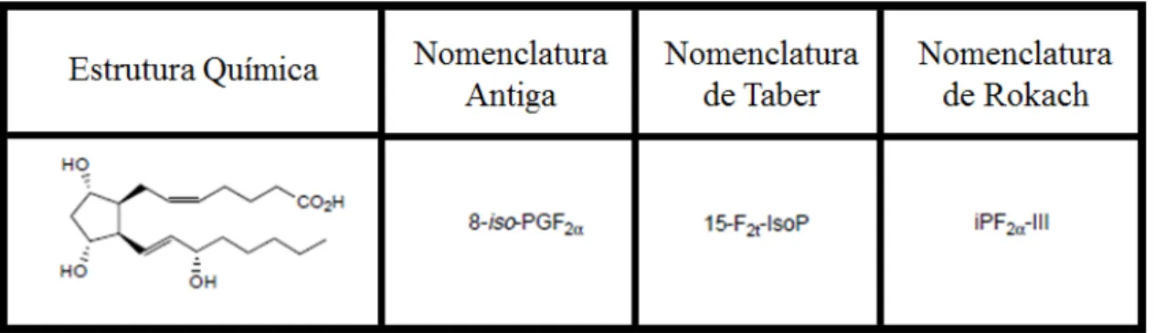Tabela  3.  Imagem  esquemática  da  fórmula  estrutural  do  8-iso-PGF 2α   e  as  suas  três  nomenclaturas  (adaptado de Cracowski &amp; Durand, 2002)