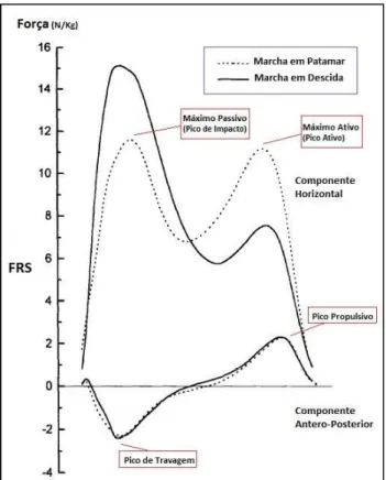 Figura 4: Componente Vertical e Antero-Posterior das Forças de Reação do Solo em Patamar e em  Descida – adaptado de (Kuster, et al., 1995)