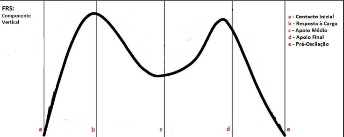 Figura 6: Componente Vertical das Forças de Reação do Solo durante os diferentes momentos da fase de  apoio do ciclo da marcha - adaptado de (LER, 2009-2011)