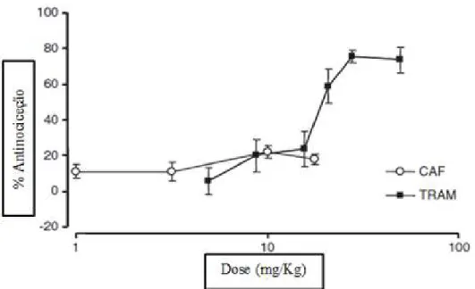 Figura 3.1.  Efeito antinocicetivo da cafeína (CAF) e tramadol (TRAM) na fase 1 de dor