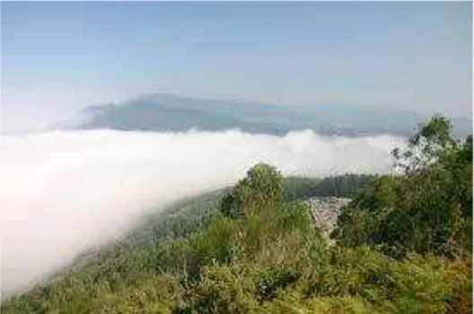 Fig. 17. Vista del Monte Santa Tegra con niebla. 