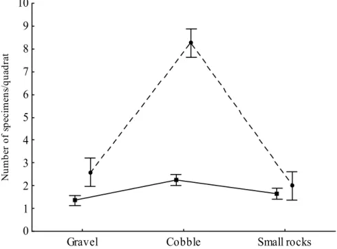 Fig. 1. Mean richness (square) and abundance (circle) across habitat types: gravel,  cobble and small rocks