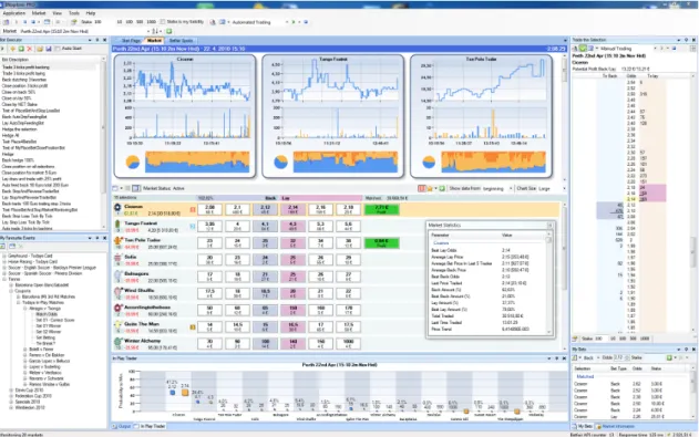 Figure 2.10: Guided user interface of BFExplorer, simple betting [Bel14a]