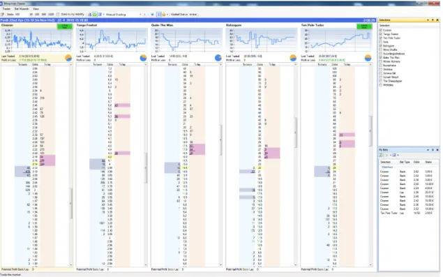 Figure 2.11: Ladder interface of BFExplorer, multiple selections [Bel14a]