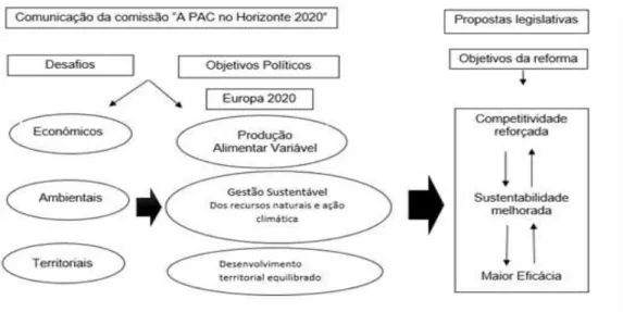 Figura 15 -  “Propostas da Comissão para a PAC Pós - 2013:desafios e opções” .   Fonte: Cordovil (2011)