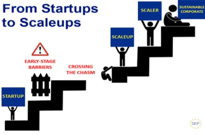 Figure 3 From Start-ups to Scale-ups (SEP, 2014)  