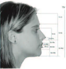 Figura 8- Medidas verticais 