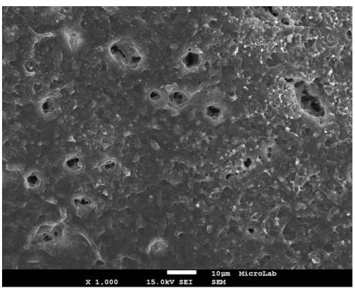 Figura 17 – Subgrupo B1 (Claritine ®  sem flúor) (x1.000) – Fotomicrografia panorâmica do esmalte  erodido, sendo evidente a elevada desorganização da superfície e a presença de crateras múltiplas